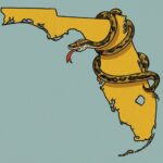 Scaly Squatters battaglia.law